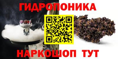 кокс Аша